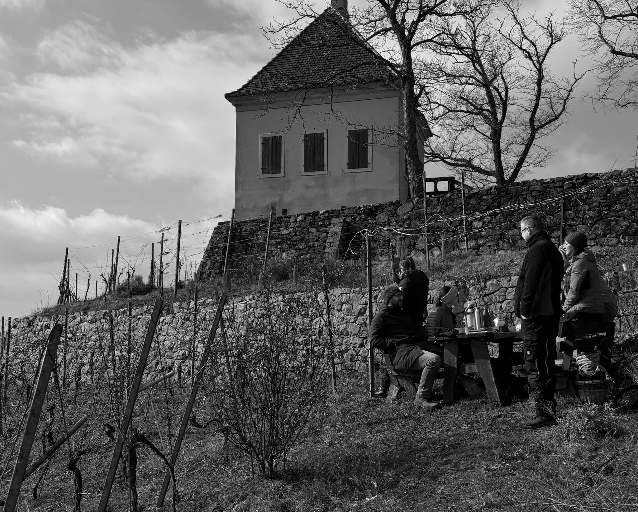 Schwarz-Weiß-Foto: eine kleine Gruppe am Tisch im Weinberg vor einem alten Weinberghaus